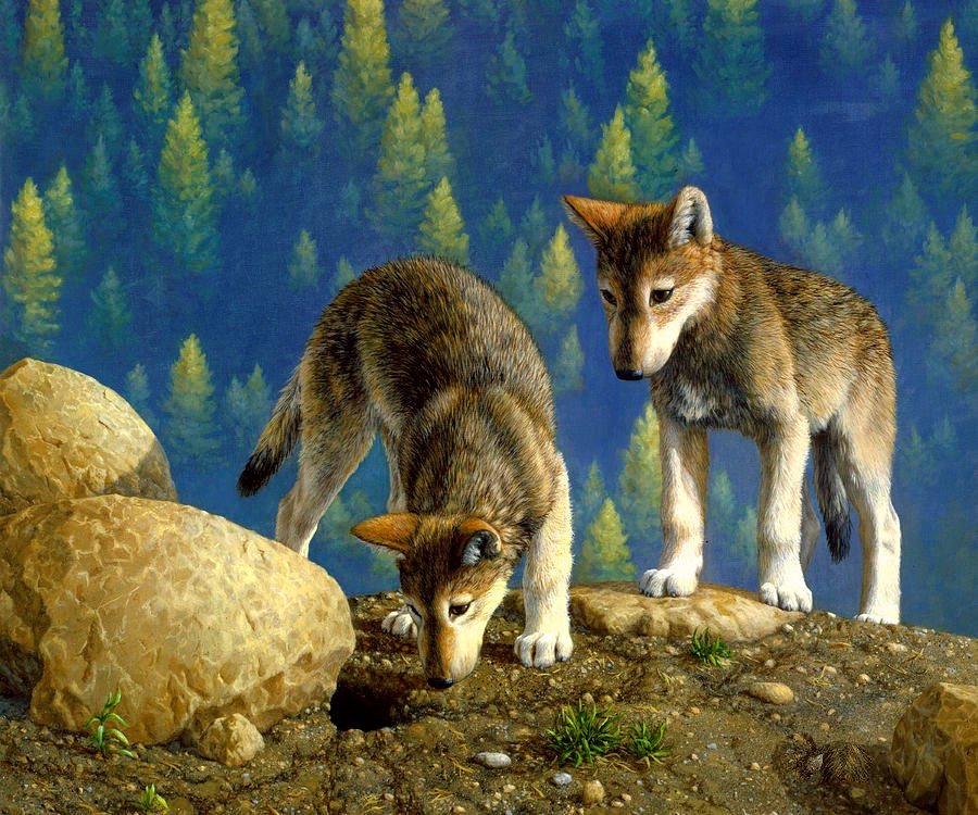 Волчата - волки, лес, волчата, животные, природа, рисунок, скала - оригинал