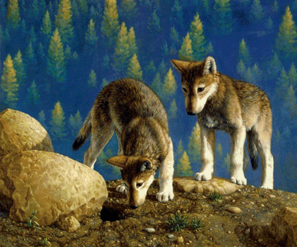 Волчата - скала, животные, волки, волчата, лес, природа, рисунок - предпросмотр