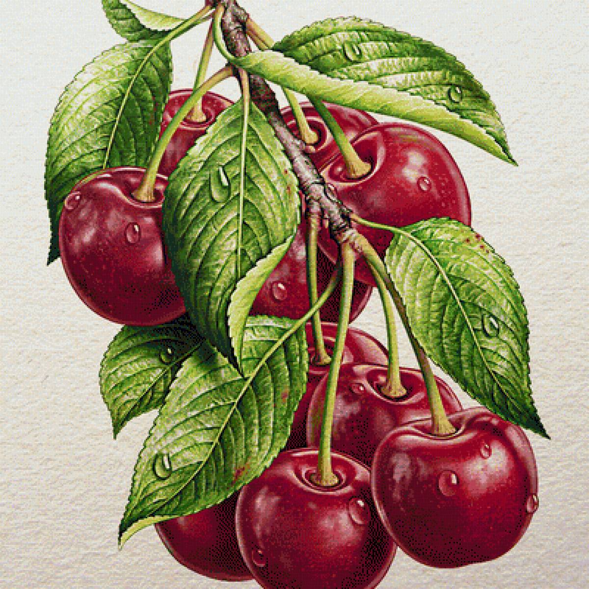 CEREZAS - 400 x 400 cruces - предпросмотр