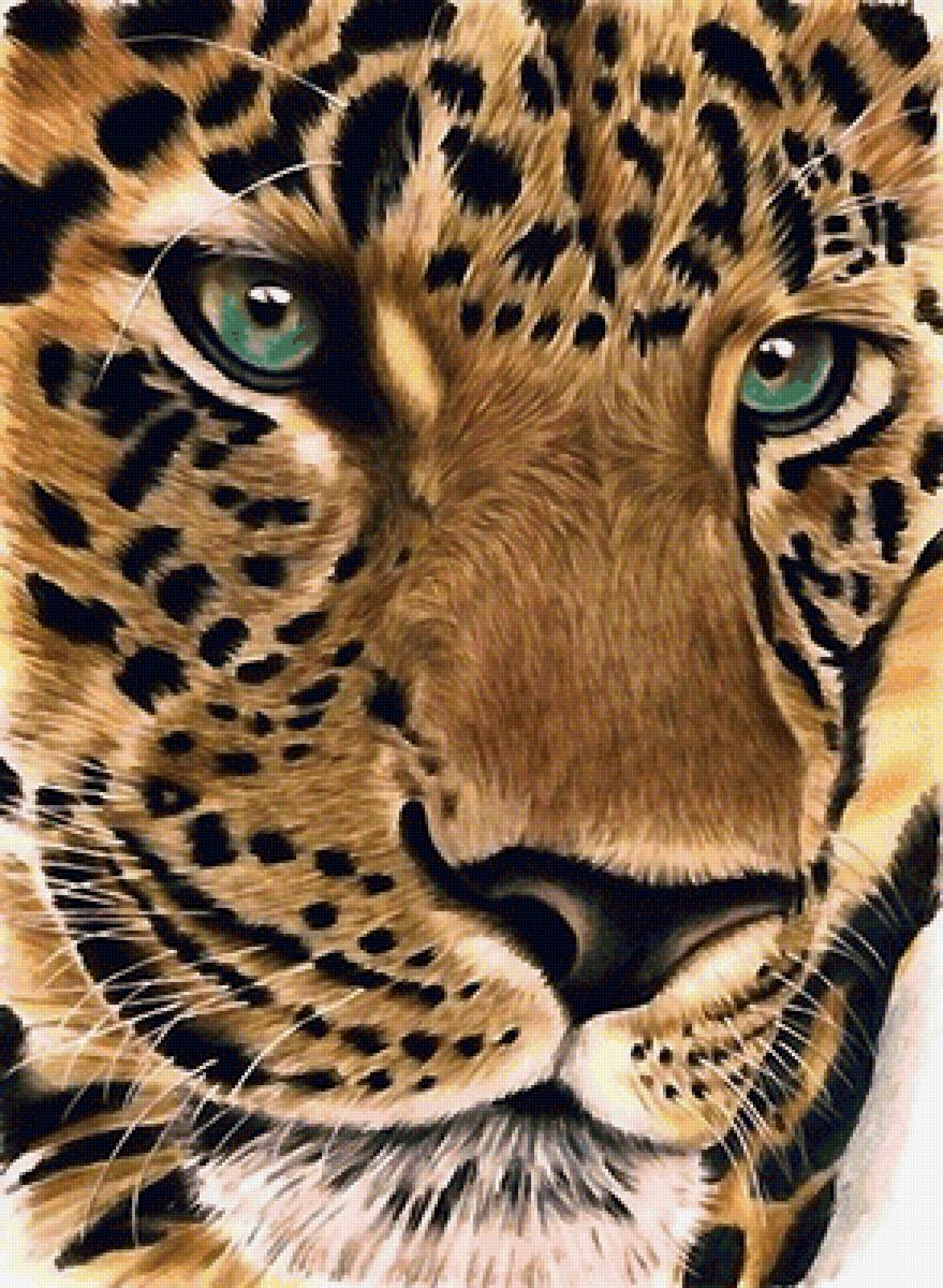 Леопард арт в очках11