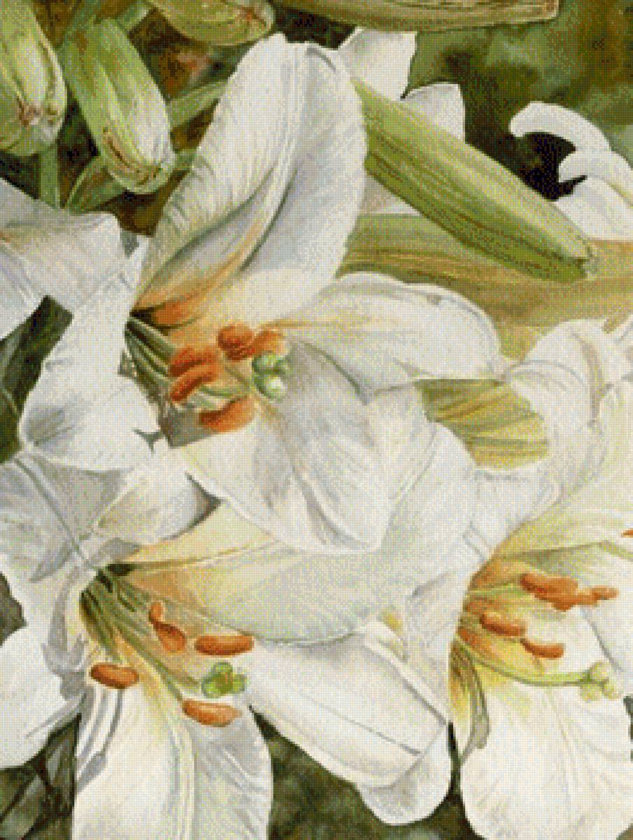 Лилии - цветы - предпросмотр