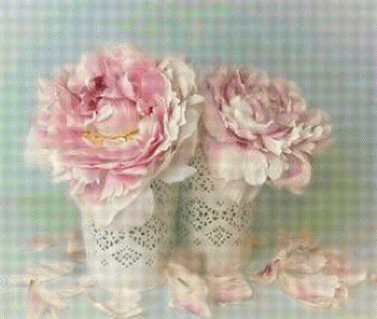 Пионы - цветы - предпросмотр