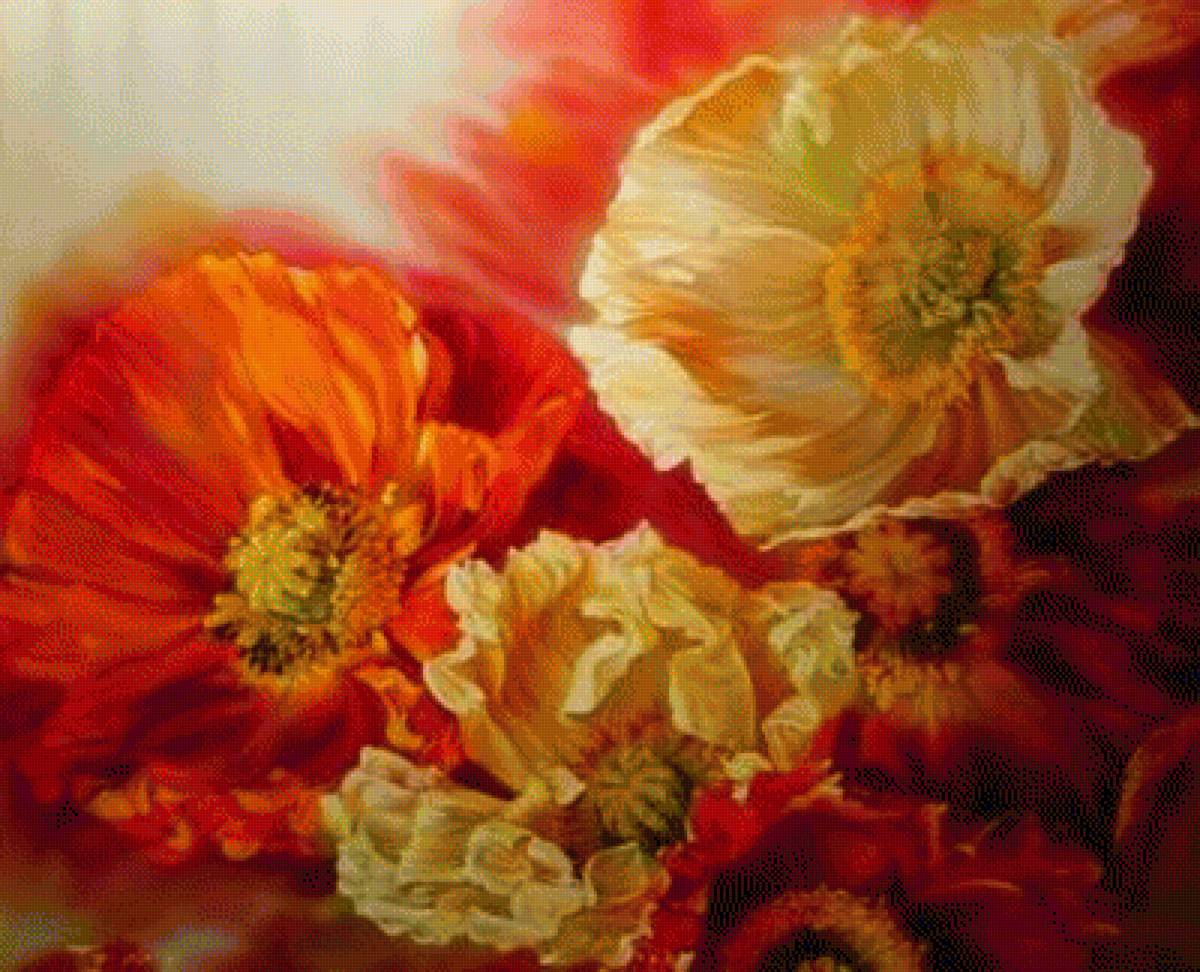 Маки - цветы - предпросмотр