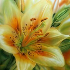 Схема вышивки «Лилия»