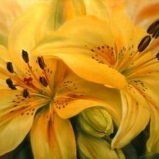 Схема вышивки «Лилии»