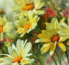 Схема вышивки «Ромашки»