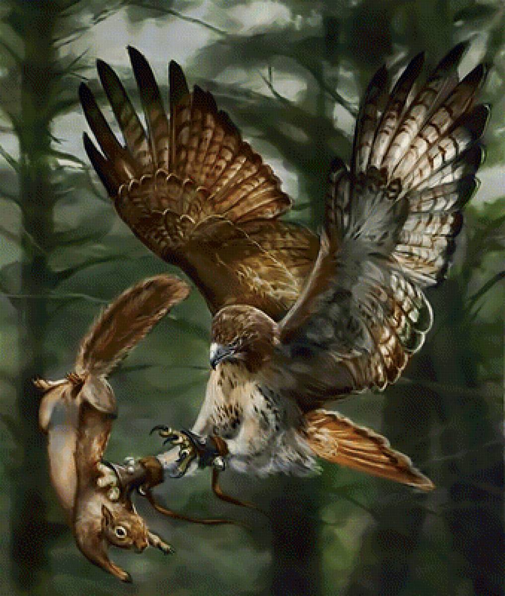 Удачливый охотник3 - сокол белка полет охота добыча - предпросмотр