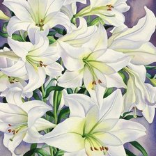 Схема вышивки «Лилии»