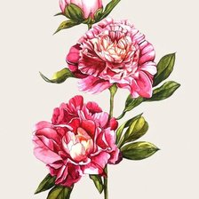 Схема вышивки «№1926007»