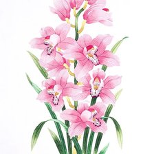 Схема вышивки «№1926009»