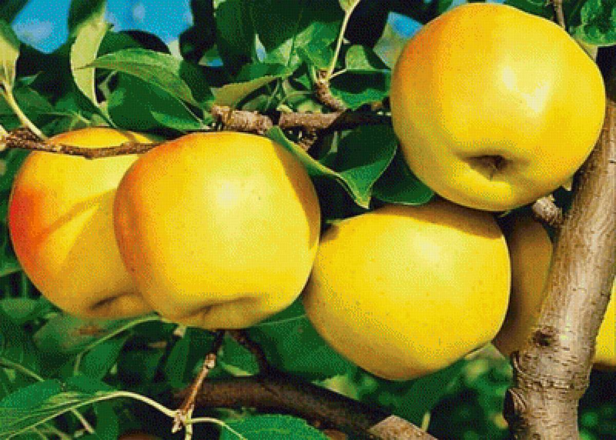 №1926083 - предпросмотр