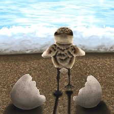 Схема вышивки «№1926398»