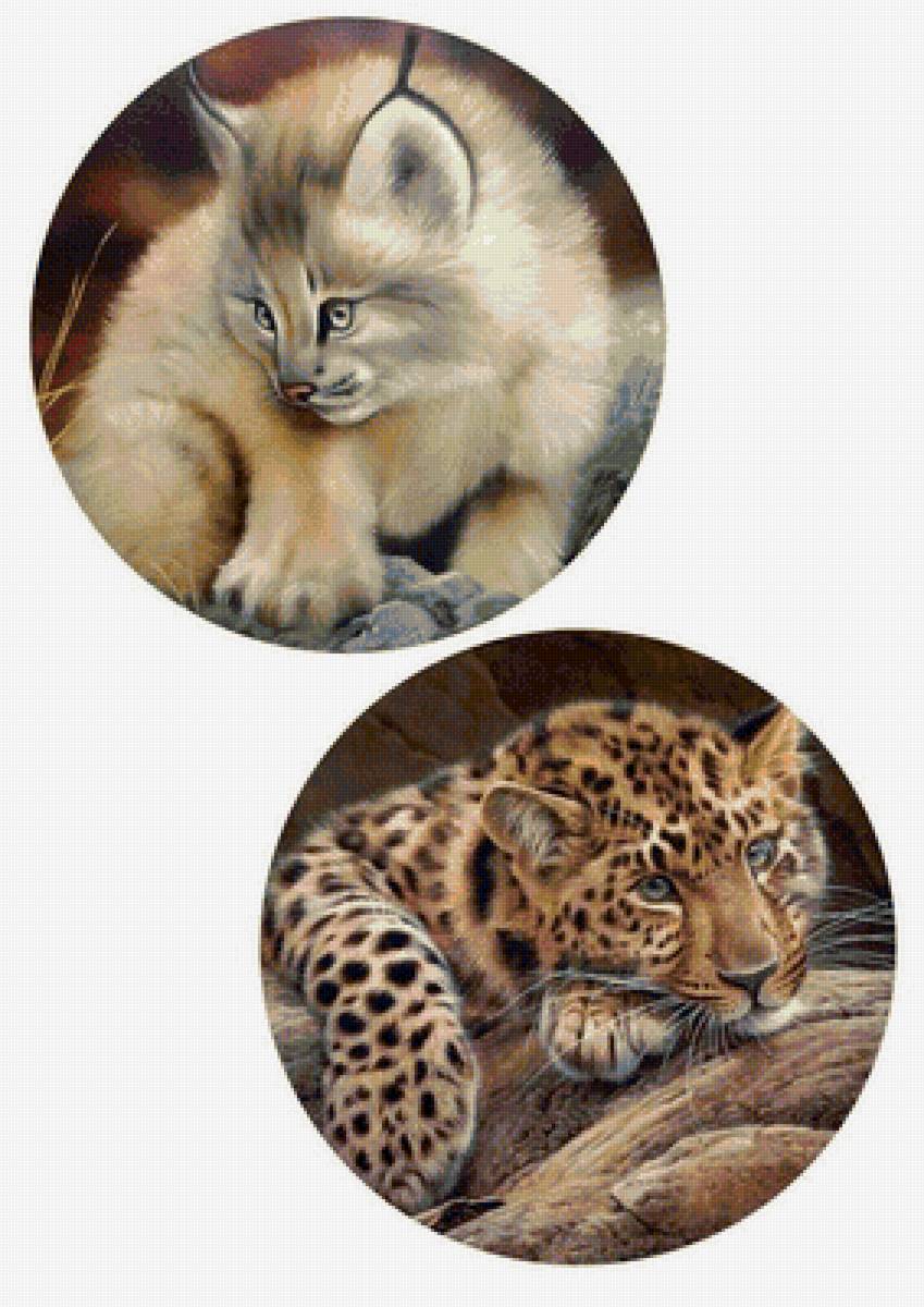 дикие - предпросмотр