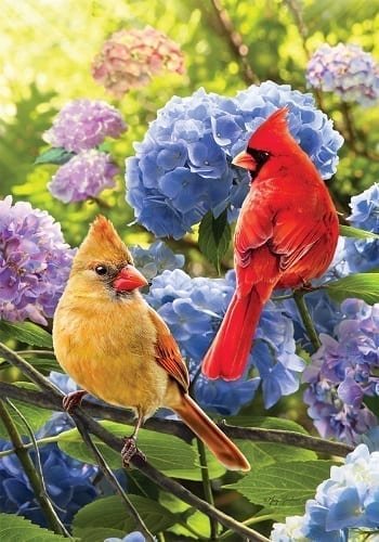 Птички - птицы, рисунок, птички, цветы, природа - оригинал