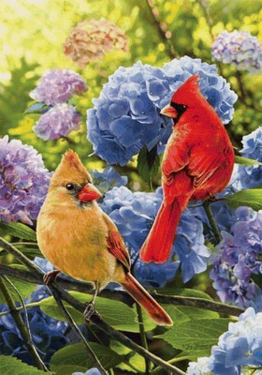 Птички - птички, цветы, природа, рисунок, птицы - предпросмотр