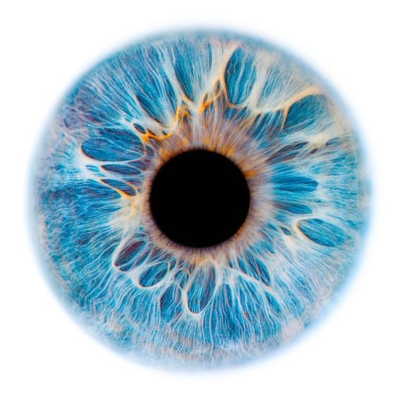 Око - сфера, глаз, круг, синий - оригинал