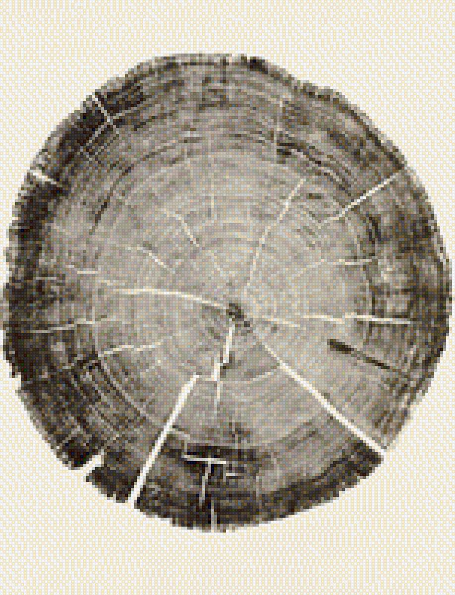 Дерево - беж, сфера, дерево, круг, круги - предпросмотр