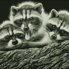 Схема вышивки «№1926730»