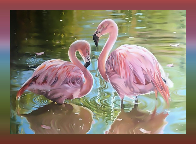 Розовые фламинго - птицы розовые фламинго - оригинал