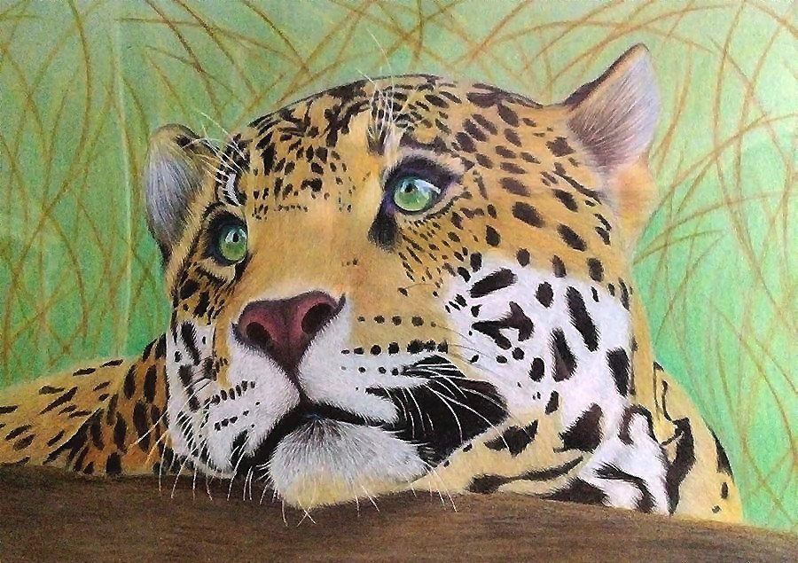 лео - мир животных - оригинал