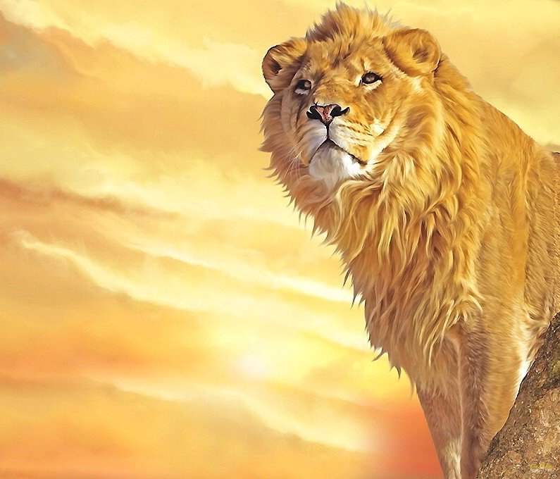 лев - мир животных - оригинал