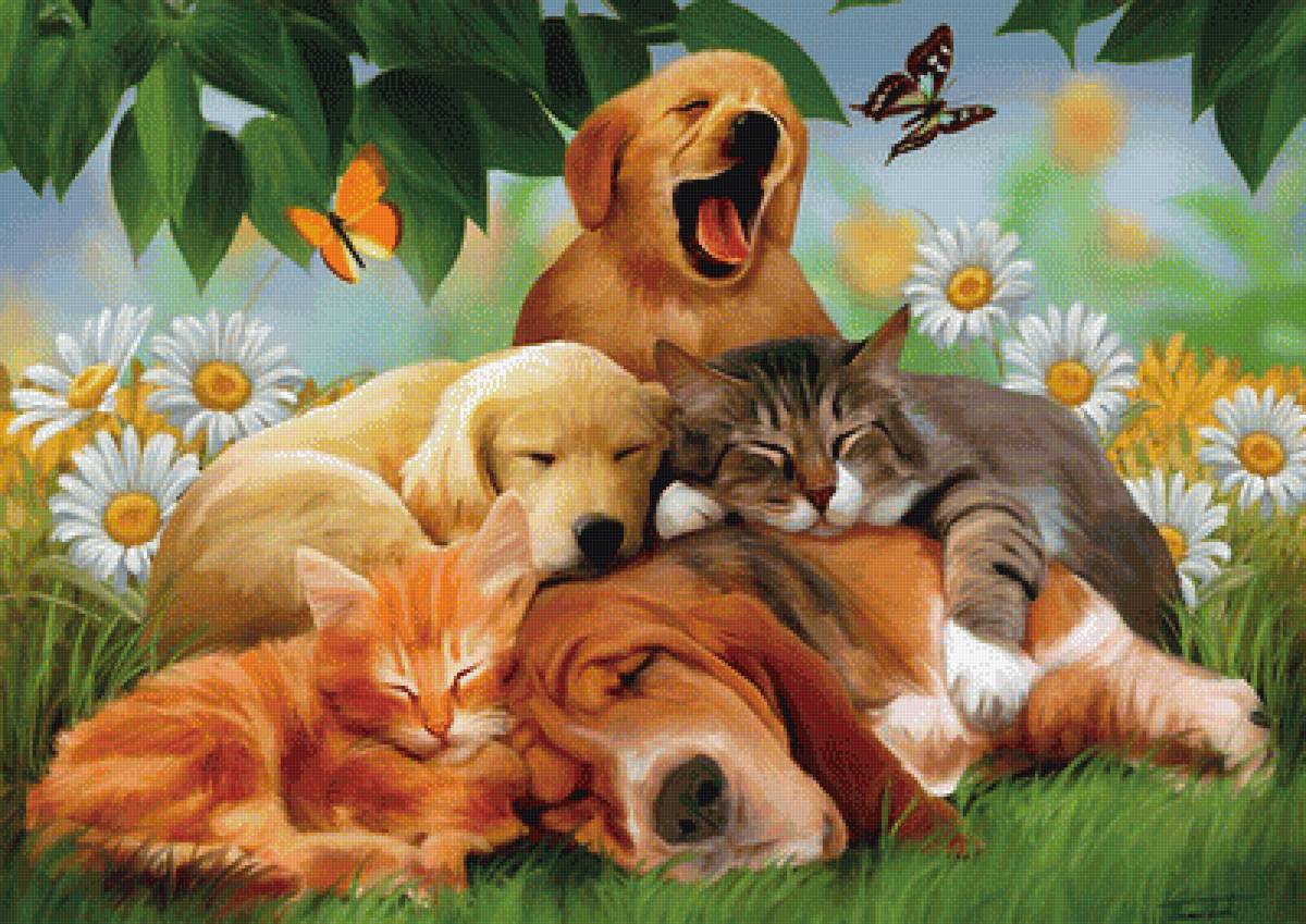 Спокойной ночи малыш - кошки, собаки, животные, сон - предпросмотр