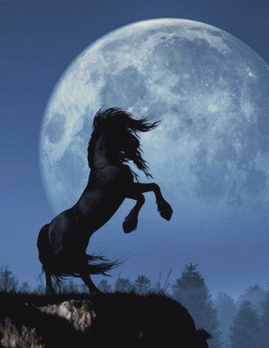 Лунная ночь - лошадь, ночь, луна - предпросмотр