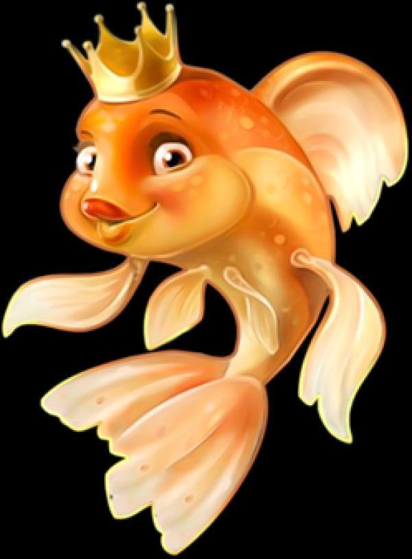 Золотая рабка - рабка в фоте - оригинал