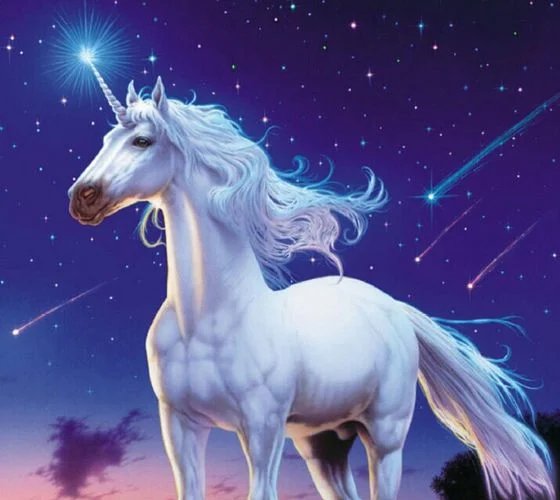 Единорог - белая, единорог, лошадь - оригинал