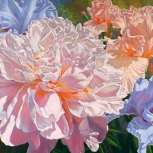 Схема вышивки «PEONY AND IRISES»