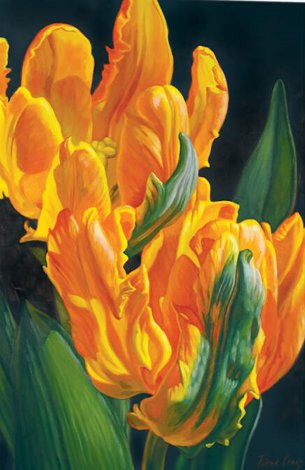 ТЮЛЬПАНЫ - тюльпаны, by fiona craig - оригинал