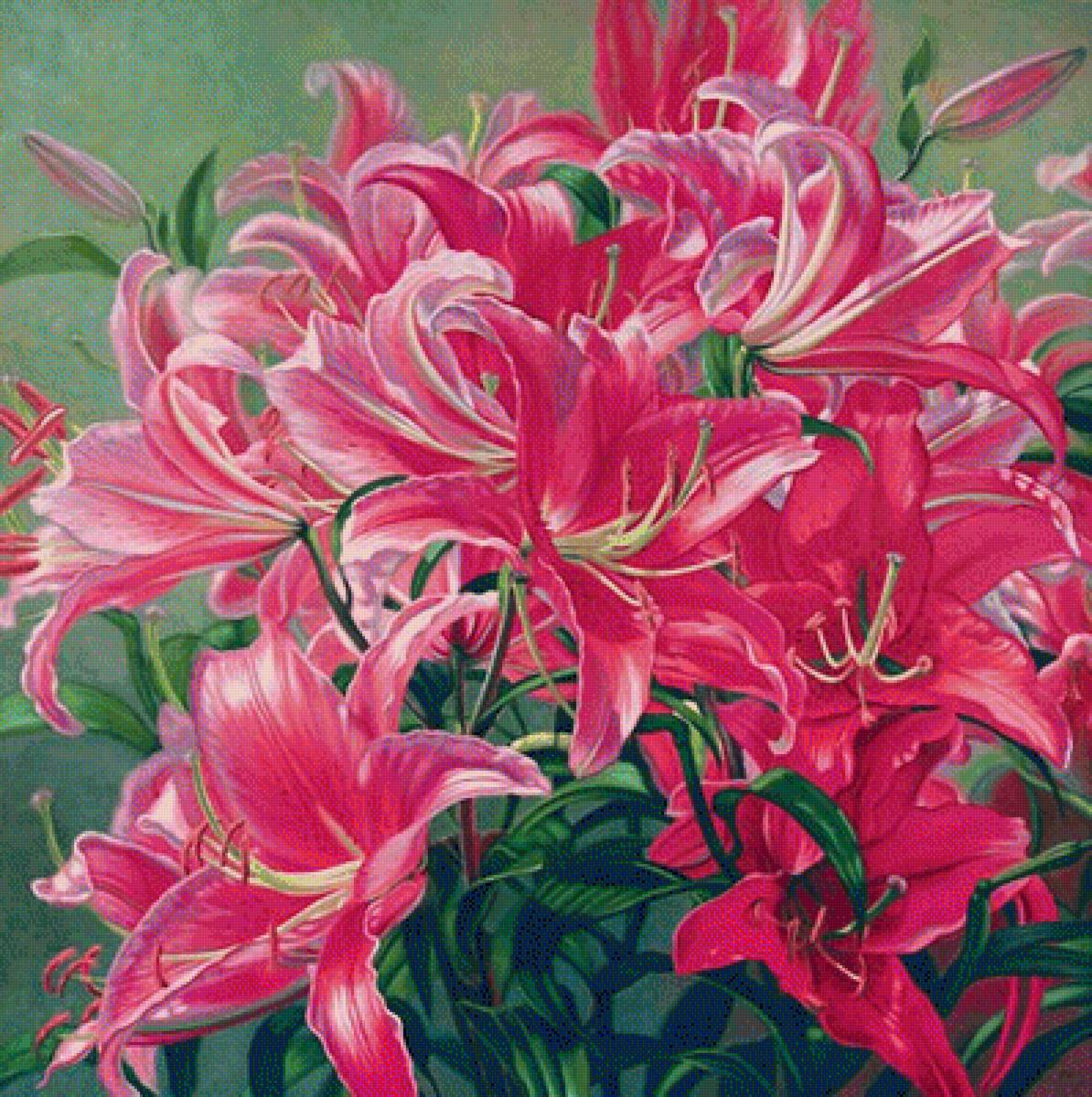 Pink Asiatic Lilies - by fiona craig - предпросмотр