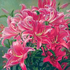 Оригинал схемы вышивки «Pink Asiatic Lilies» (№1927483)