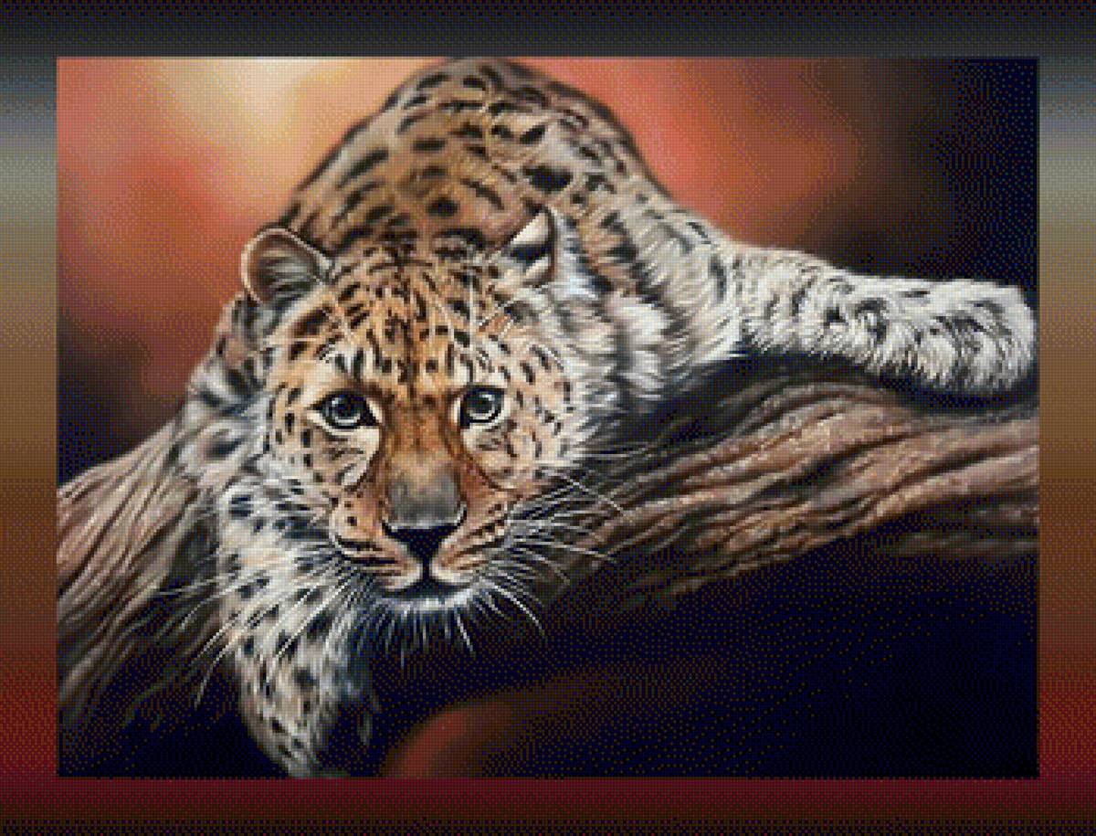 Внимательный взгляд2 - леопард хищник взгляд - предпросмотр