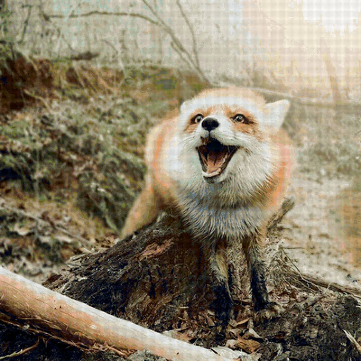 3789 - предпросмотр