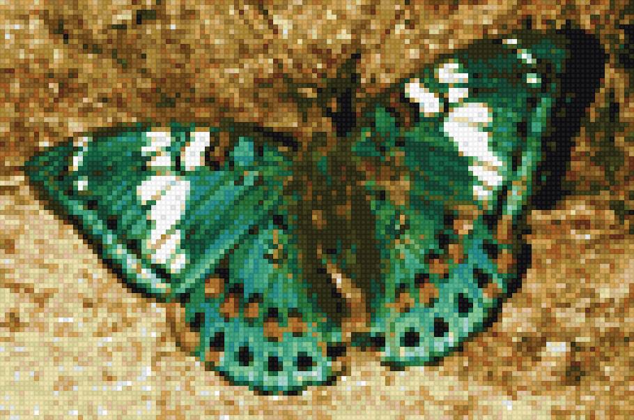 бабочка - предпросмотр