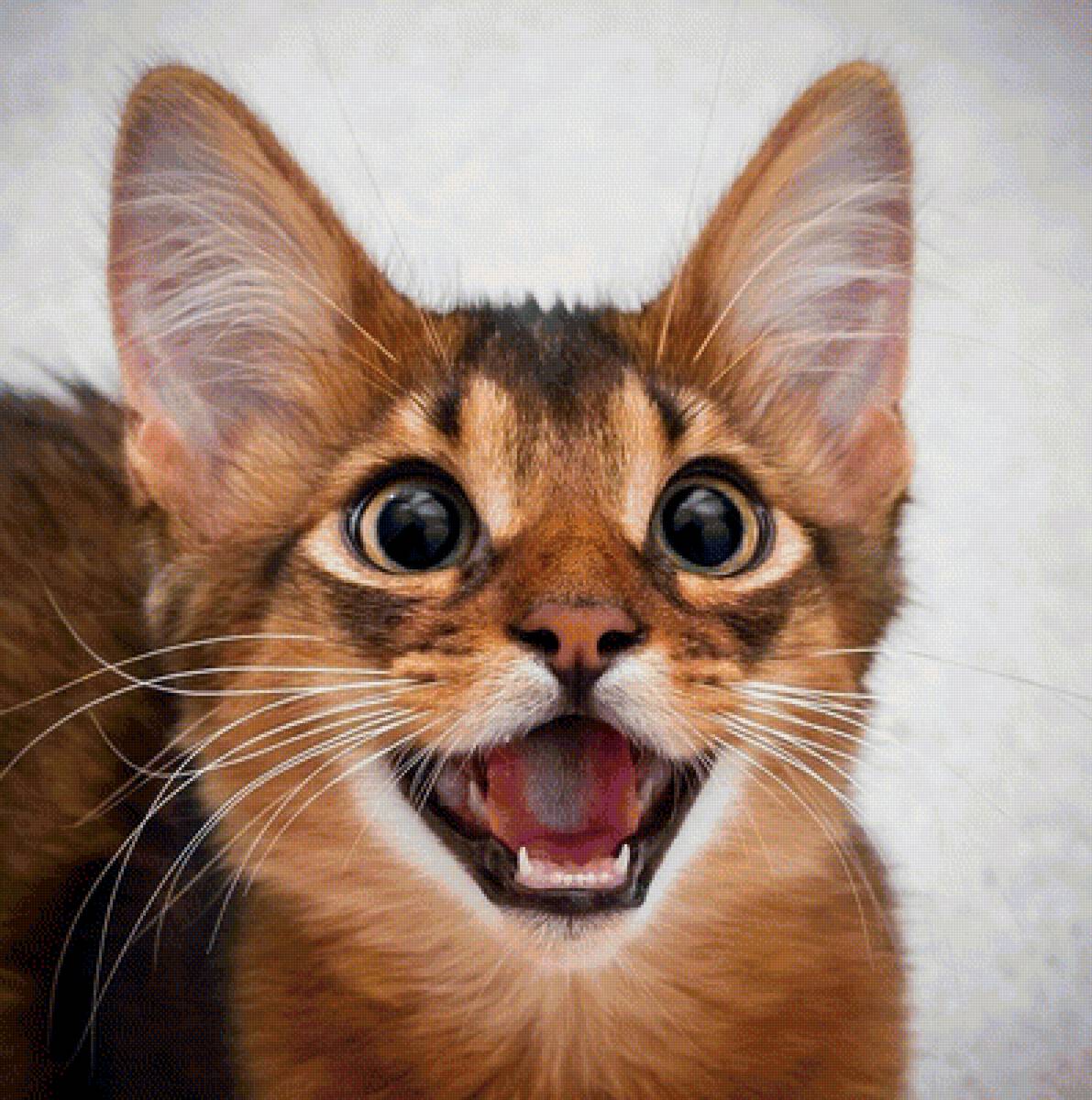 514 - предпросмотр