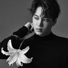 Схема вышивки «кай»