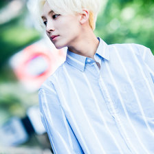 Схема вышивки «джохан»