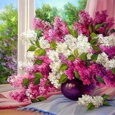 Beautiful flowers in the window.