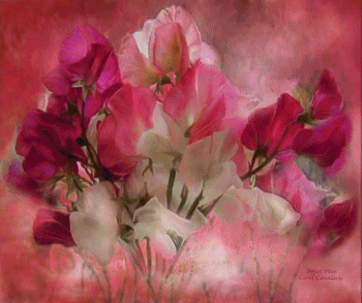 ДУШИСТЫЙ ГОРОШЕК - carol cavalaris - предпросмотр