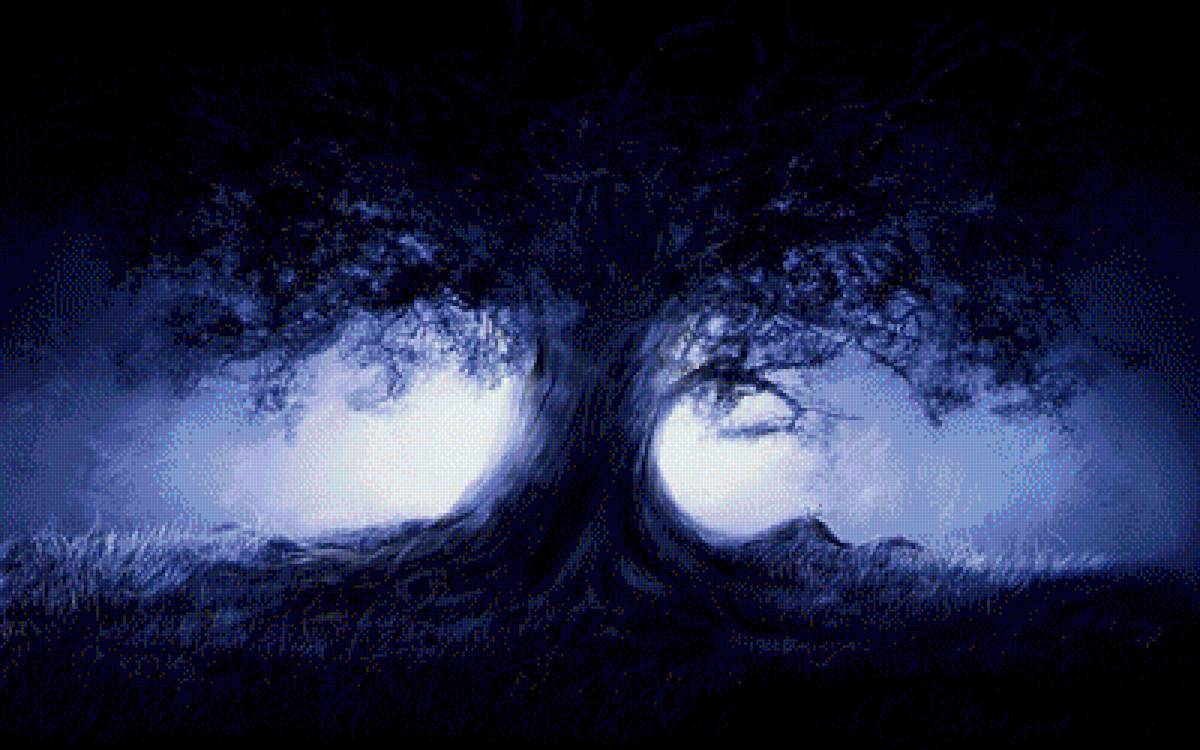 №1929130 - природа, ночь, волшебство, лес - предпросмотр