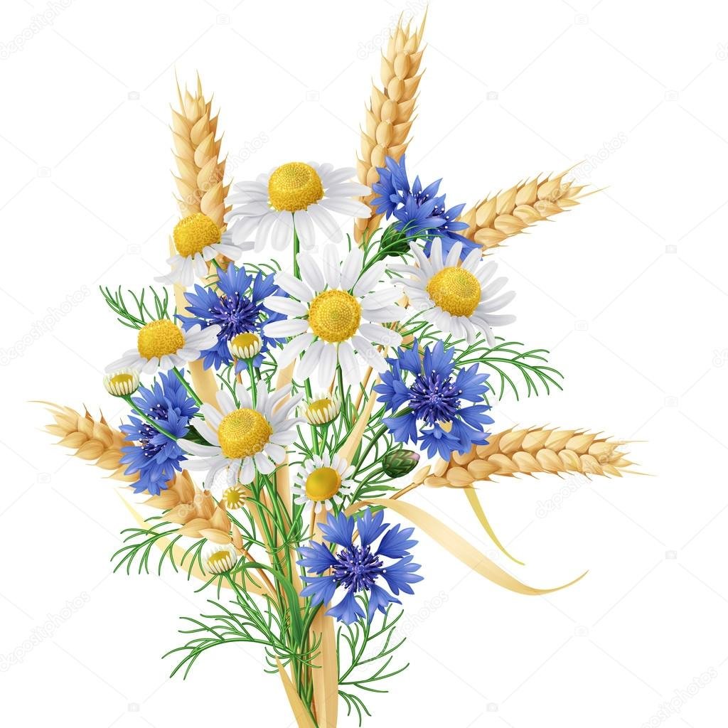 Ромашки, колоски, васильки - цветы - оригинал