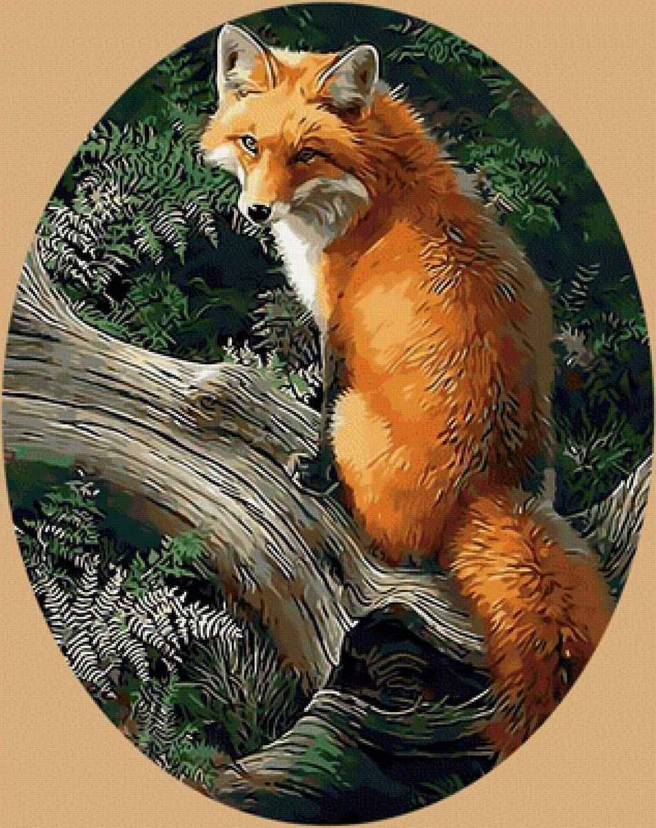 Лиса - лиса рыжая хищный взгляд хищник - предпросмотр