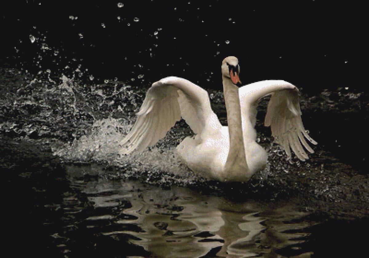 лебедь2 - предпросмотр