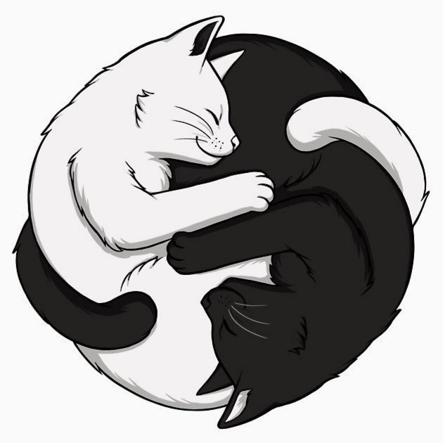 Gatti - animal - оригинал