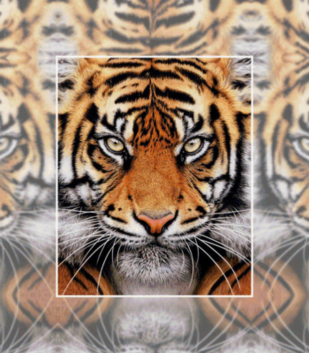 Тигр - тигр хищник взгляд - предпросмотр