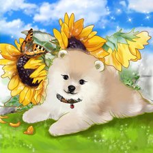 Схема вышивки «Шпиц и подсолнухи»