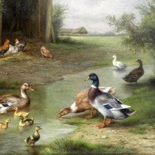 Схема вышивки «Ducks Family.»