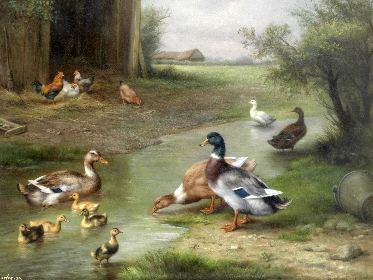 Ducks Family. - hubert kaplan paintings.birds. - оригинал